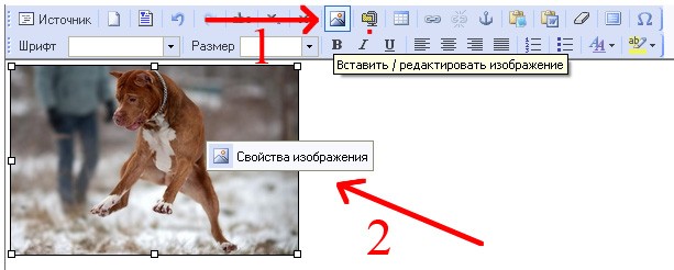 Свойства изображения