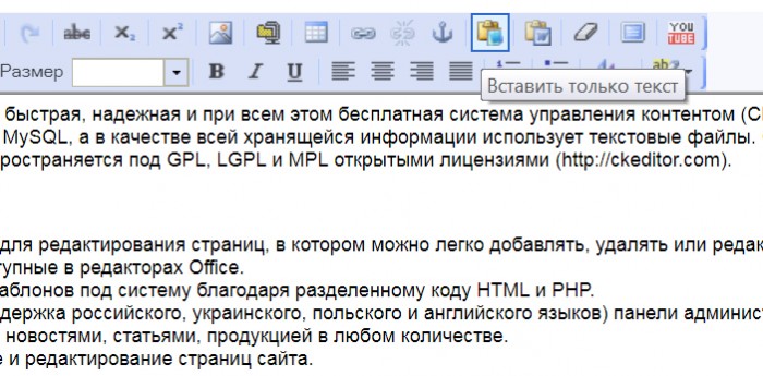 Вставить только текст